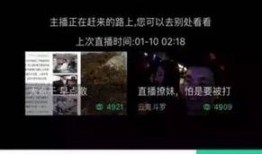 主播新闻爆料文案大全图片,揭秘热门事件幕后真相